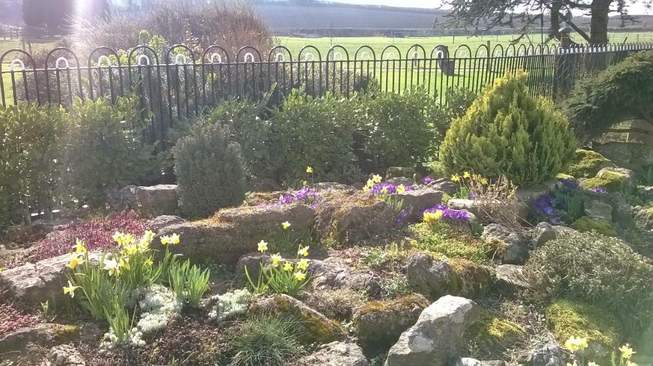 Bed and breakfast Lower Bryanston Farm 4*
