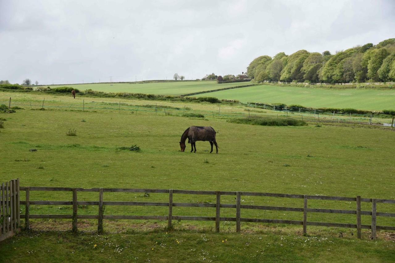 Bed and breakfast Lower Bryanston Farm 4*